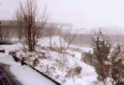 Foto af sneklædt skoleområde den 19. februar 1996